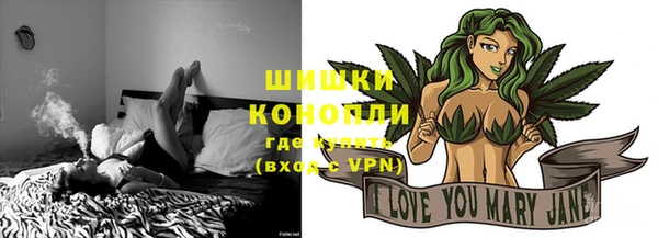 шишки Беломорск