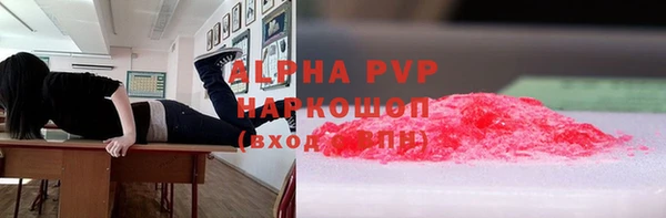 PSILOCYBIN Белокуриха