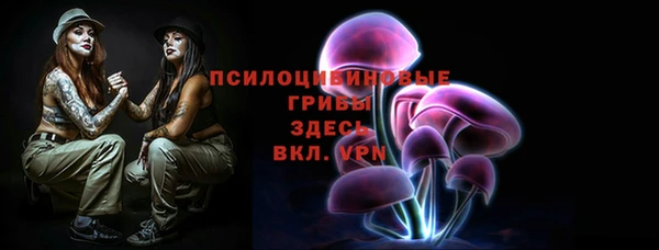 ECSTASY Белоозёрский