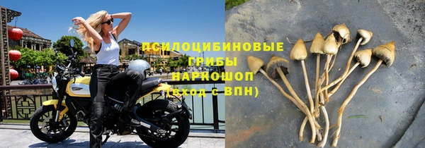 шишки Беломорск