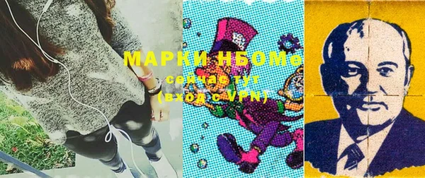PSILOCYBIN Белокуриха