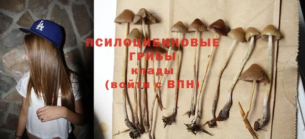 ECSTASY Белоозёрский