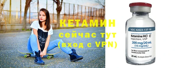 шишки Беломорск