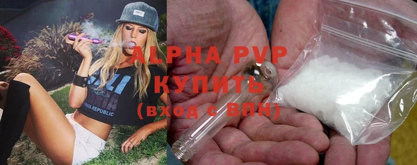 PSILOCYBIN Белокуриха
