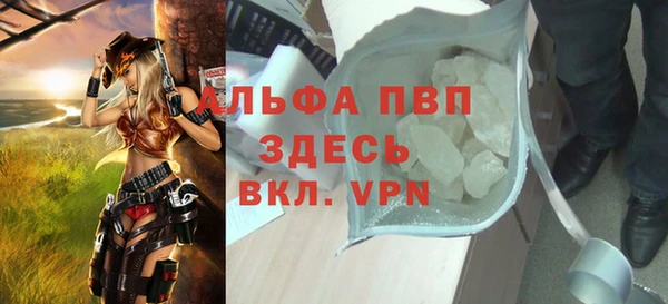 PSILOCYBIN Белокуриха