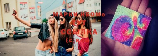 шишки Беломорск